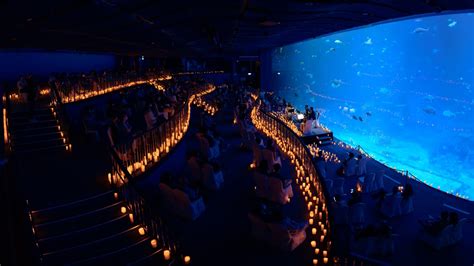 Be Enchanted by the Glittering Lights of the Magical Lights Aquarium